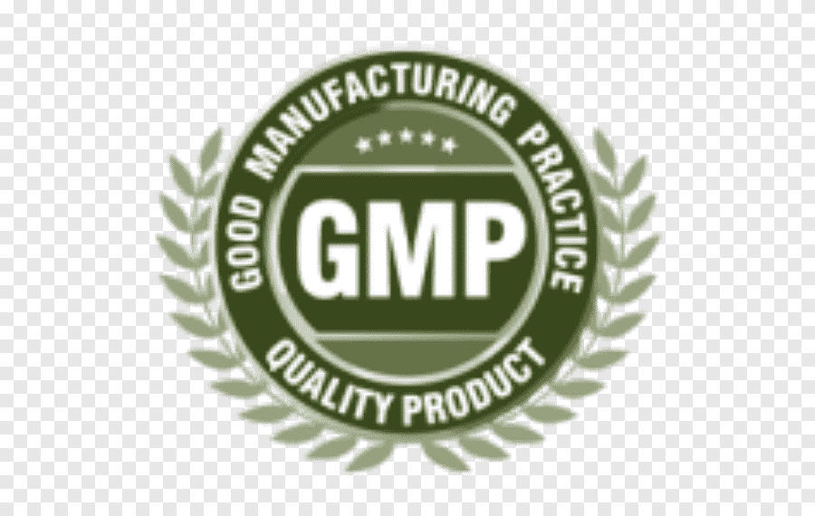 GMP Good Manufacturing Practice